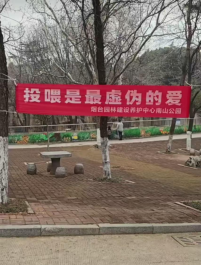 德甲