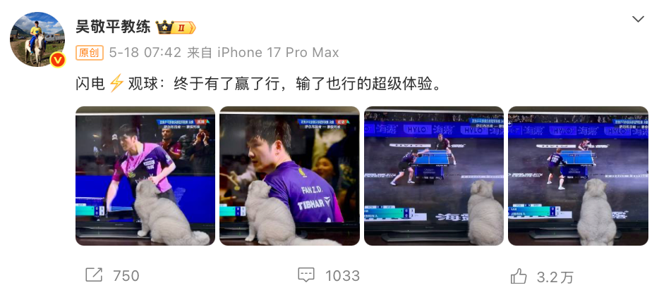 乐鱼官方网站-输了球的樊振东,有了活人感